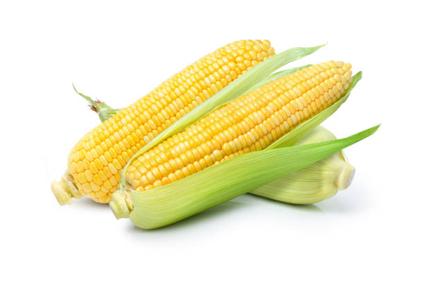 Maize