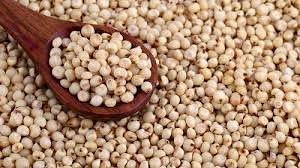 Soya Bean