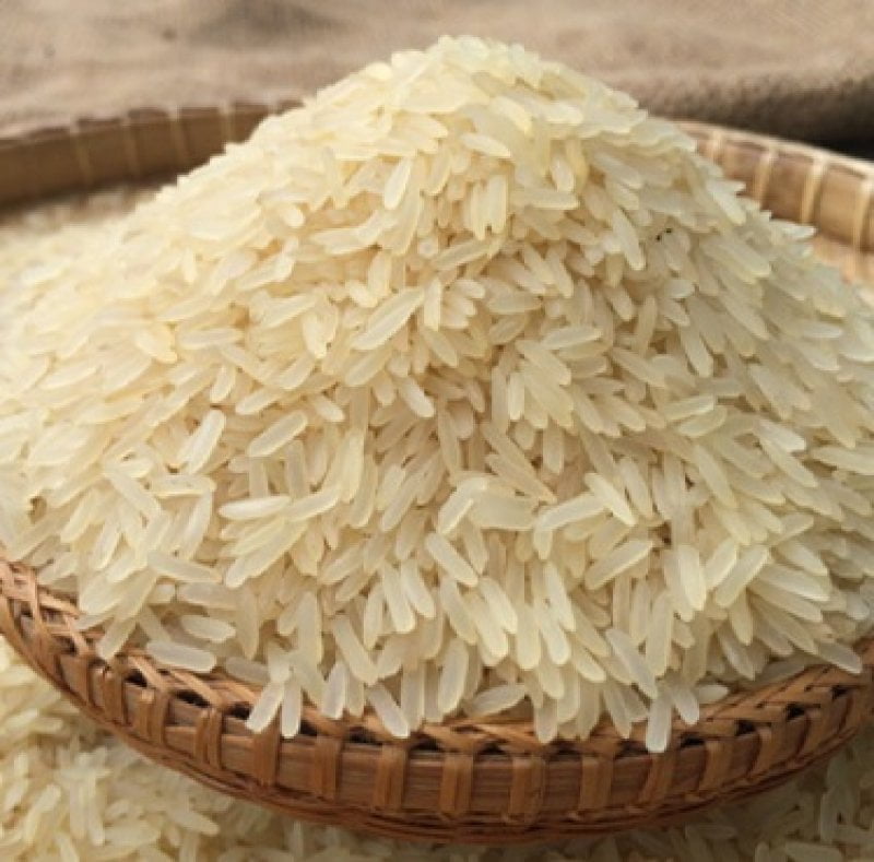 Rice